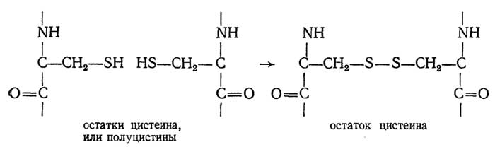 http://www.lailas.ru/biochemistry/basics/images/000022.jpg