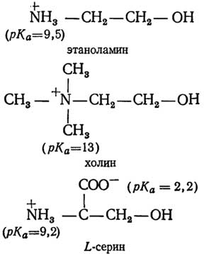 http://www.lailas.ru/biochemistry/basics/images/000055.jpg