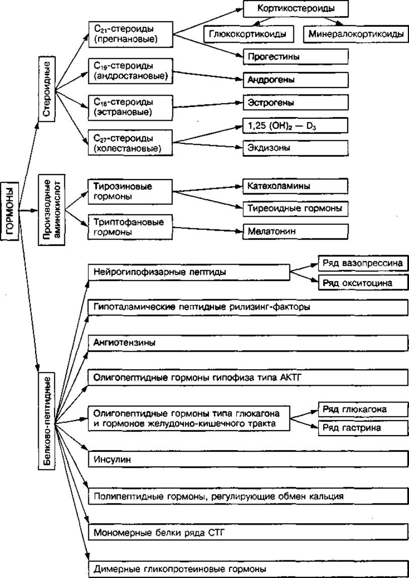 Химическая природа гормонов аминокислотная белковая стероидная заполните схему