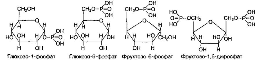 Отличие сахарозы от глюкозы реакция. Глюкоза фруктоза сахароза формулы. Сахароза сахароза Глюкоза фруктоза. Распад сахарозы на глюкозу и фруктозу формула. Формулы сахара сахарозы фруктозы.