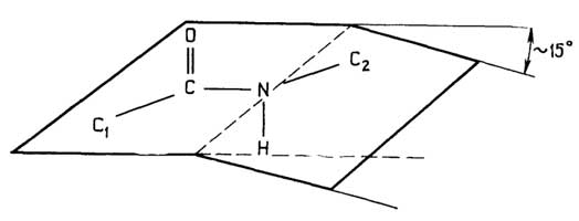 Рис. II.5. Пространственное расположение атомов в пептидной связи