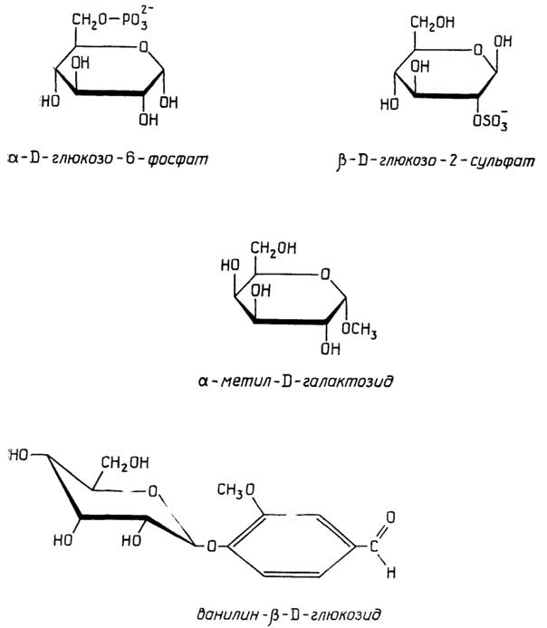 Рис. II.50. Эфиры моносахаридов: фосфат и сульфат (вверху) и гликозиды (внизу)