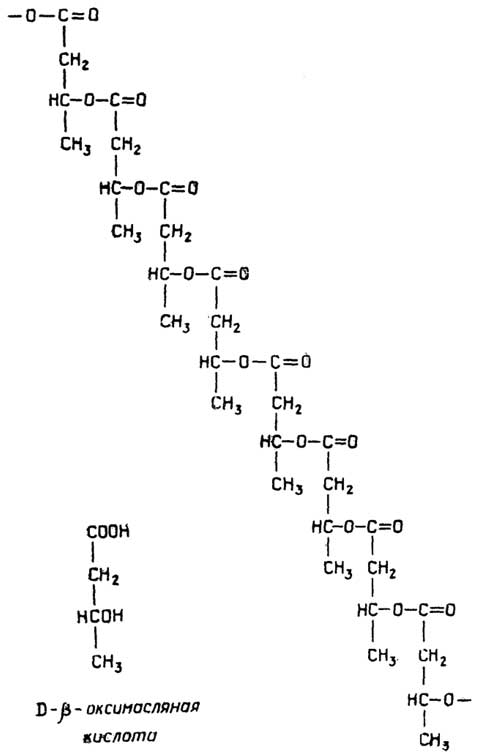 Рис. II.76. β-D-оксимасляная кислота и поли-β-D-оксибутират