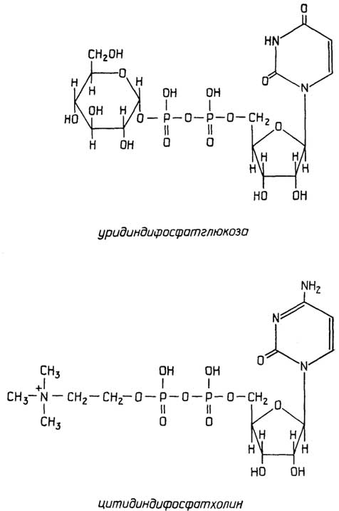 Рис. II.116. Мононуклеотиды - переносчики молекул
