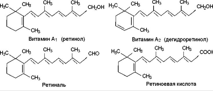 Биосинтез витаминов. Химическая структура витаминов. Убихинон витамин. Форма витамина структура. Убихинон биологическая роль.