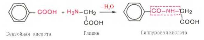 Бензойная кислота h2so4. Обезвреживание бензойной кислоты в печени. Бензойная кислота и глицин. Реакция обезвреживания бензойной кислоты. Бензойная кислота обезвреживание в организме.