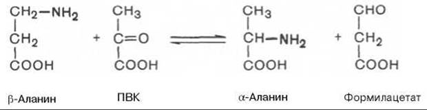 Бета аланин свойства. Бета аланин формула структурная. Бета аланин формула. Синтез Альфа аланина. Альфа и бета аланин формула.