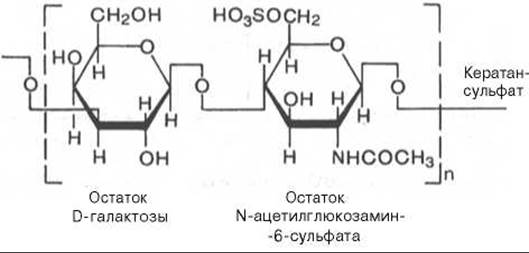 Хондроитин 6 сульфат формула. Хондроитин сульфат структурная формула. N ацетилглюкозамин 6 сульфат. N-ацетилглюкозамин строение.