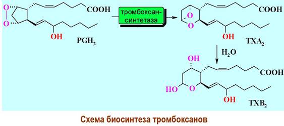 Простагландины схема синтеза