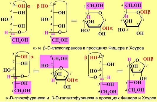 Схема таутомерных превращений d маннозы в растворе