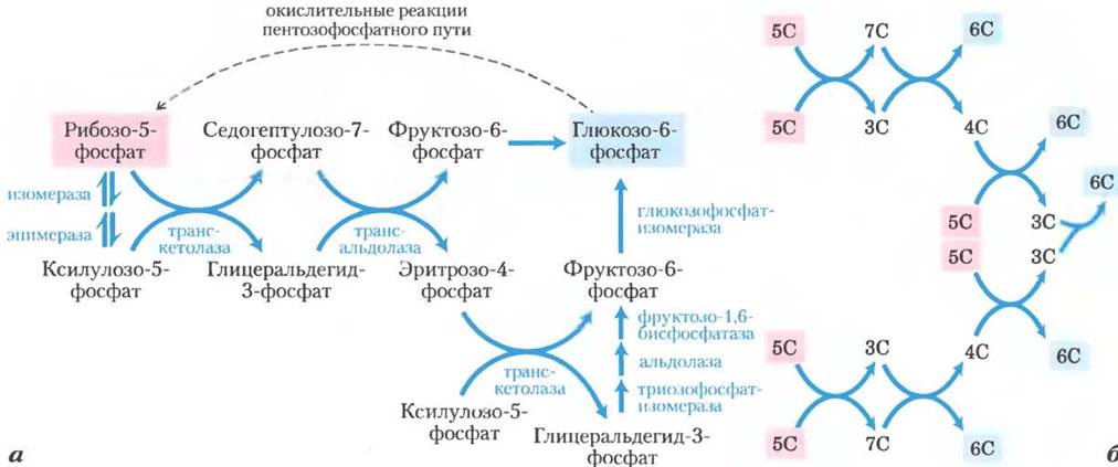 Схема отражающая процесс окисления