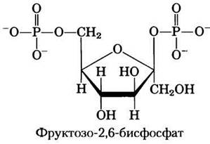 Фруктозо 6 дифосфат. Фруктозо 2 6 дифосфат. Фруктозо 2 6 бисфосфат регуляция. Фруктозо 1 6 бисфосфатаза реакция. Роль фруктозо-2.6-бисфосфата.