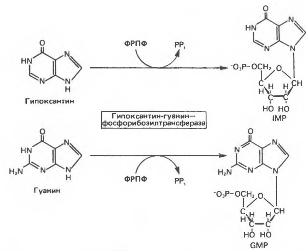 Гипоксантин формула