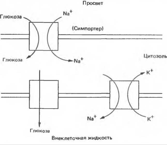 Мало перенос