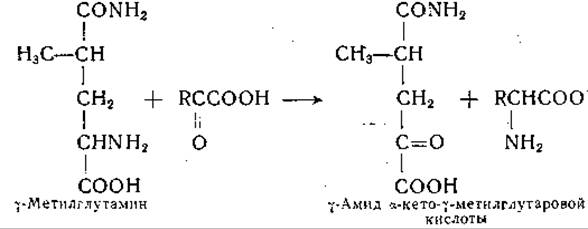 Кетокислоты аминокислот