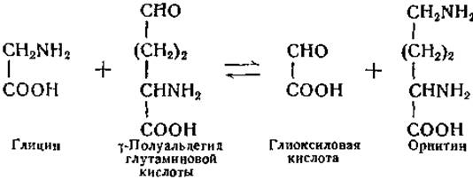 Укажите формулу кислоты являющейся альдегидокислотой