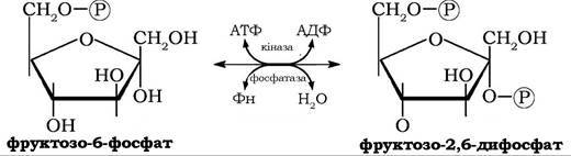 Атф глюкоза адф. Фруктозо 2 6 дифосфат. Фруктозо 1 6 бисфосфат формула. Фруктозо 6 фосфат. Глюкозо 6 фосфат в фруктозо 6 фосфат.