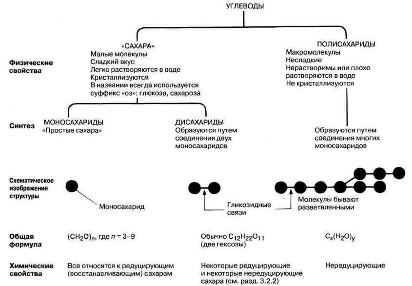 На рисунке изображены результаты опыта иллюстрирующего у растений синтез полимеров из мономеров