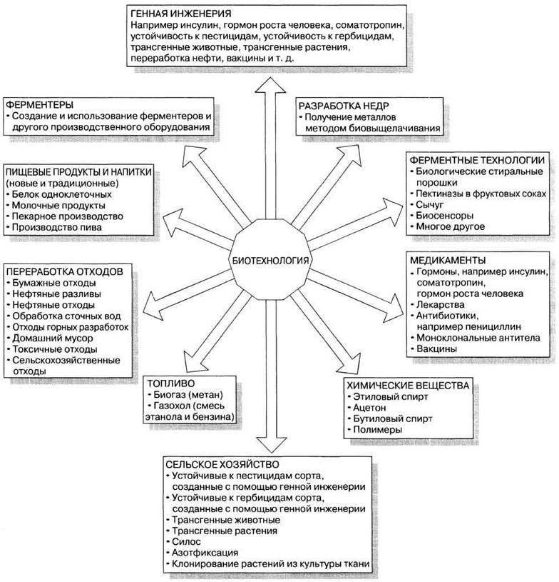 Общая схема биотехнологического производства