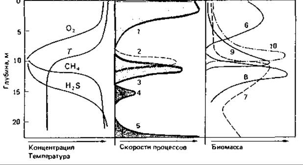 Укажите рисунок иллюстрирующий эффект тиндаля в коллоидном и истинном растворах