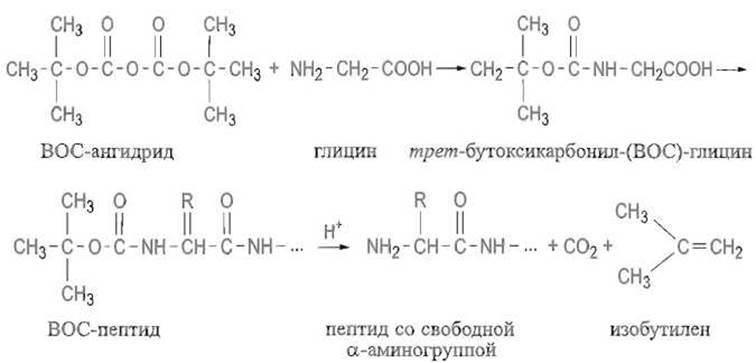 Синтезирующийся полипептид